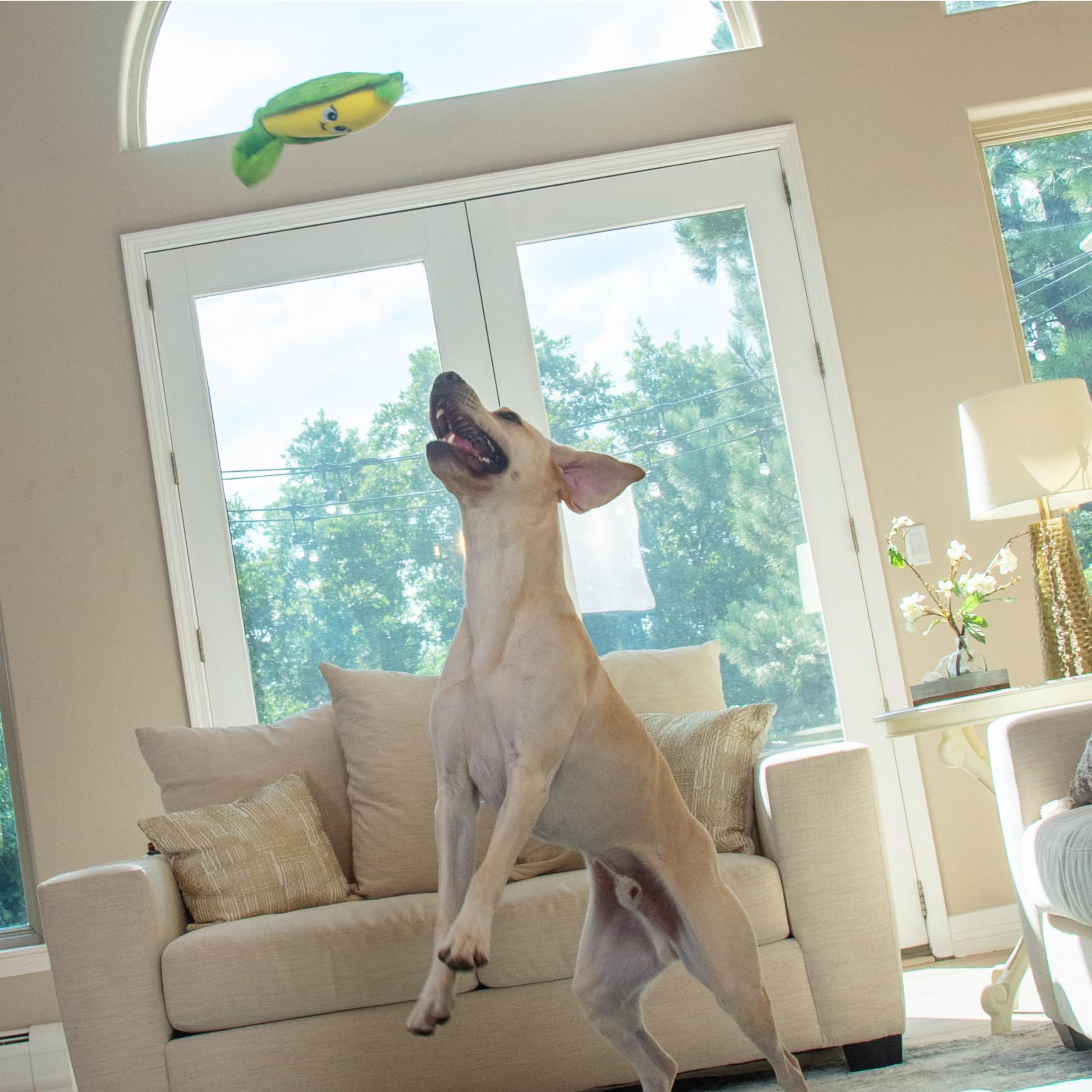 Foto 5 | Puzzle Para Perros Outward Hound Nina Ottosson Hide N' Find De Peluche - Venta Internacional.