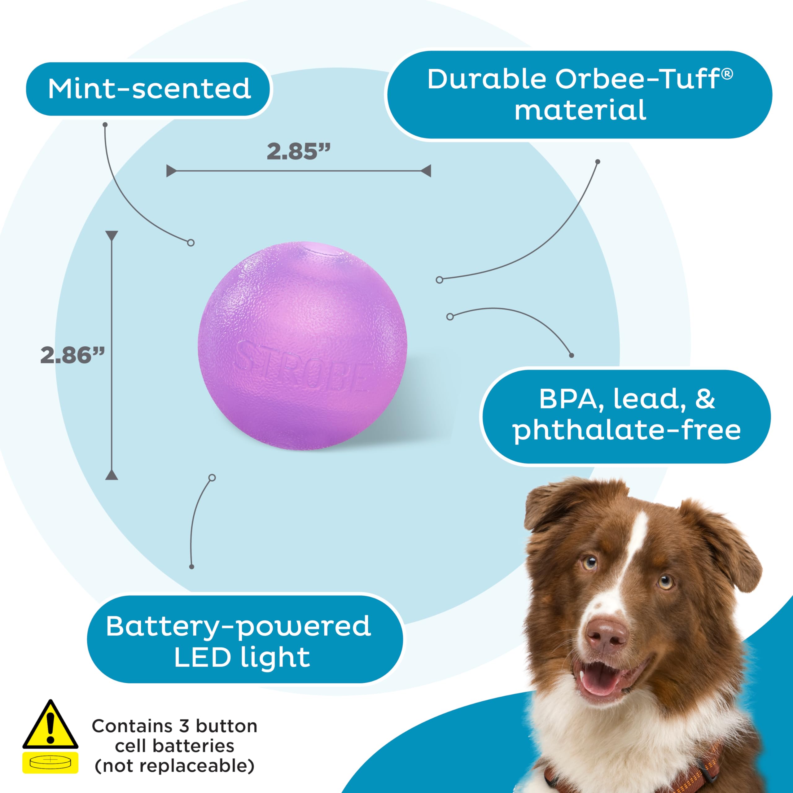 Foto 5 pulgar | Bola Estroboscópica Led Outward Hound Orbee-tuff Para Perros, Color Morado - Venta Internacional.