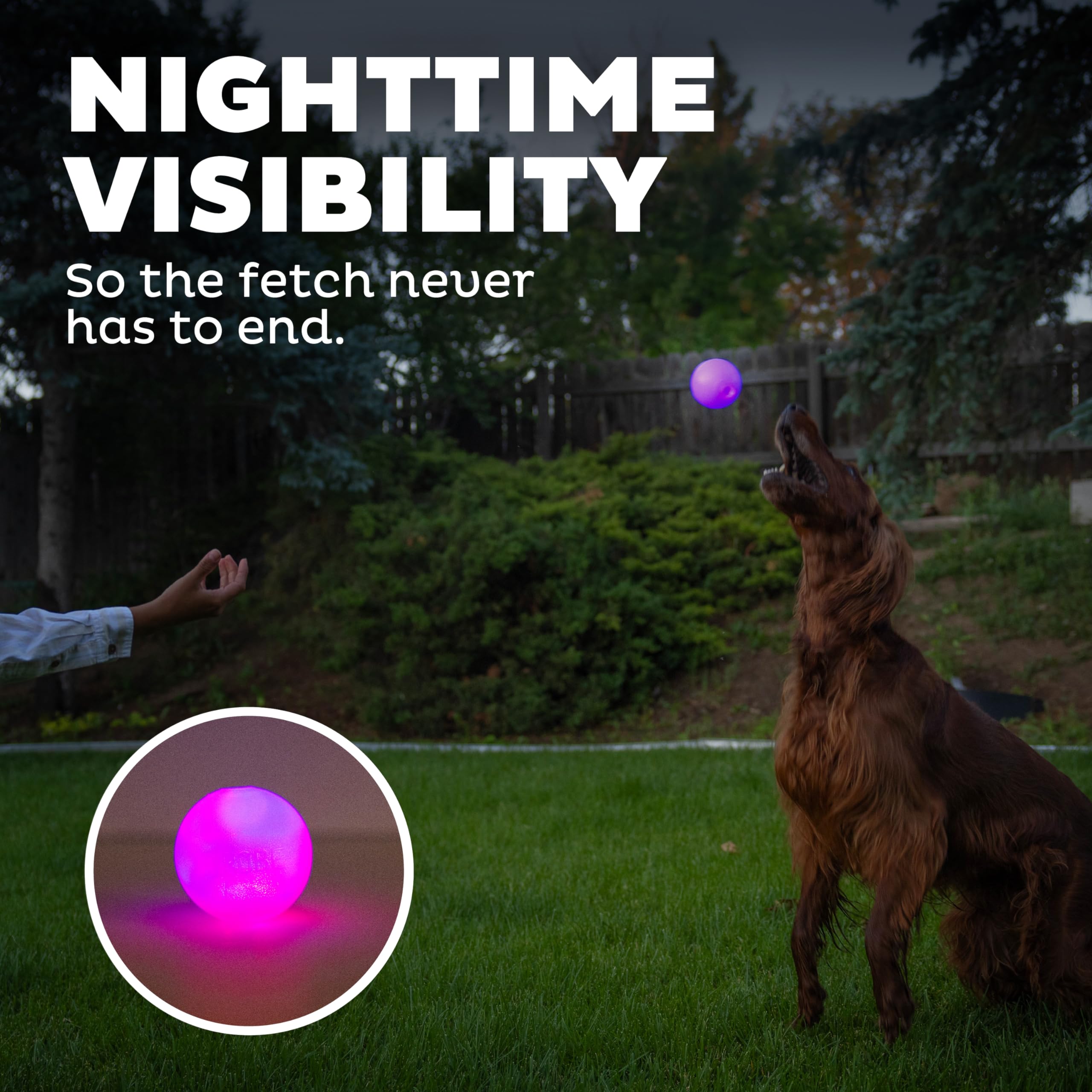 Foto 6 | Bola Estroboscópica Led Outward Hound Orbee-tuff Para Perros, Color Morado - Venta Internacional.