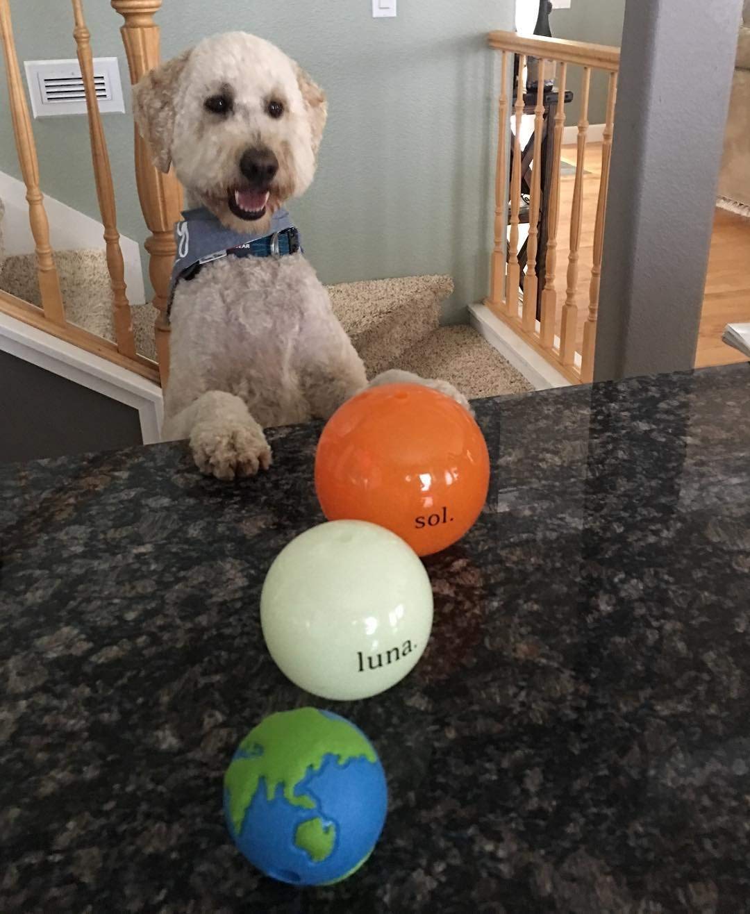 Foto 8 pulgar | Juguete Para Perros Outward Hound Planet Dog Orbee-tuff Planet Ball - Venta Internacional.
