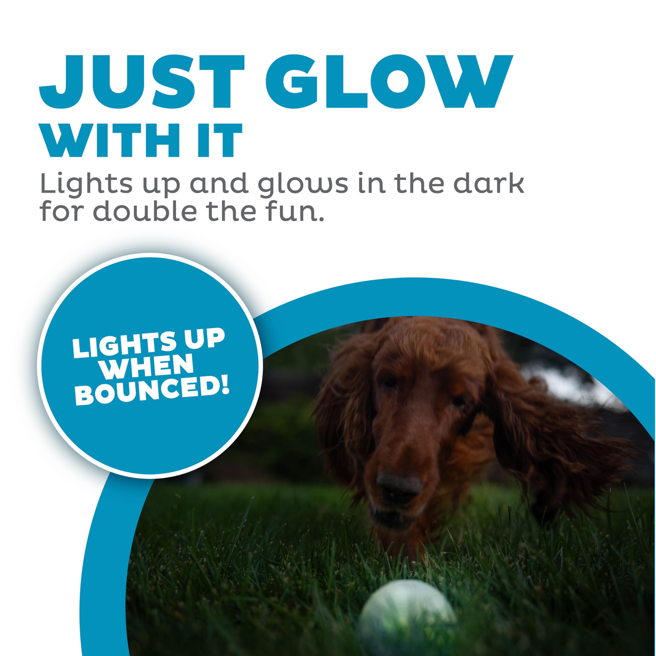 Foto 4 pulgar | Bola Estroboscópica Outward Hound Orbee-tuff De Juguete Para Perros Con Luz Led - Venta Internacional.
