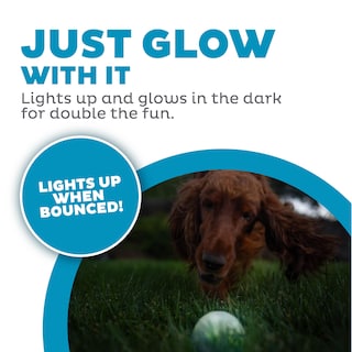 Foto 3 | Bola Estroboscópica Outward Hound Orbee-tuff De Juguete Para Perros Con Luz Led - Venta Internacional.