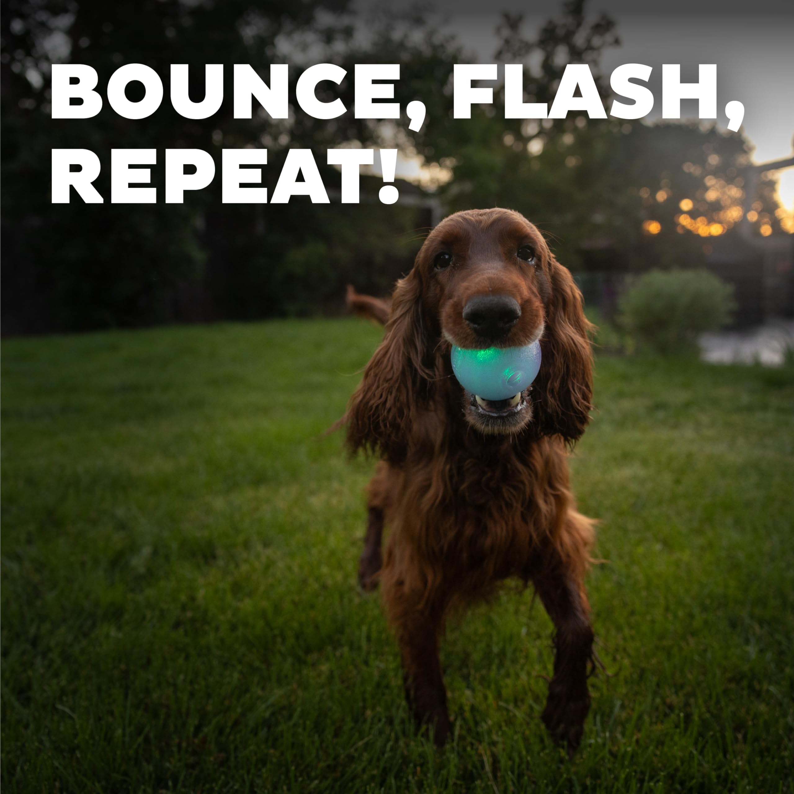 Foto 5 | Bola Estroboscópica Outward Hound Orbee-tuff De Juguete Para Perros Con Luz Led - Venta Internacional.