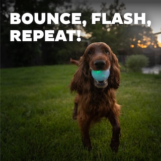 Foto 5 | Bola Estroboscópica Outward Hound Orbee-tuff De Juguete Para Perros Con Luz Led - Venta Internacional.