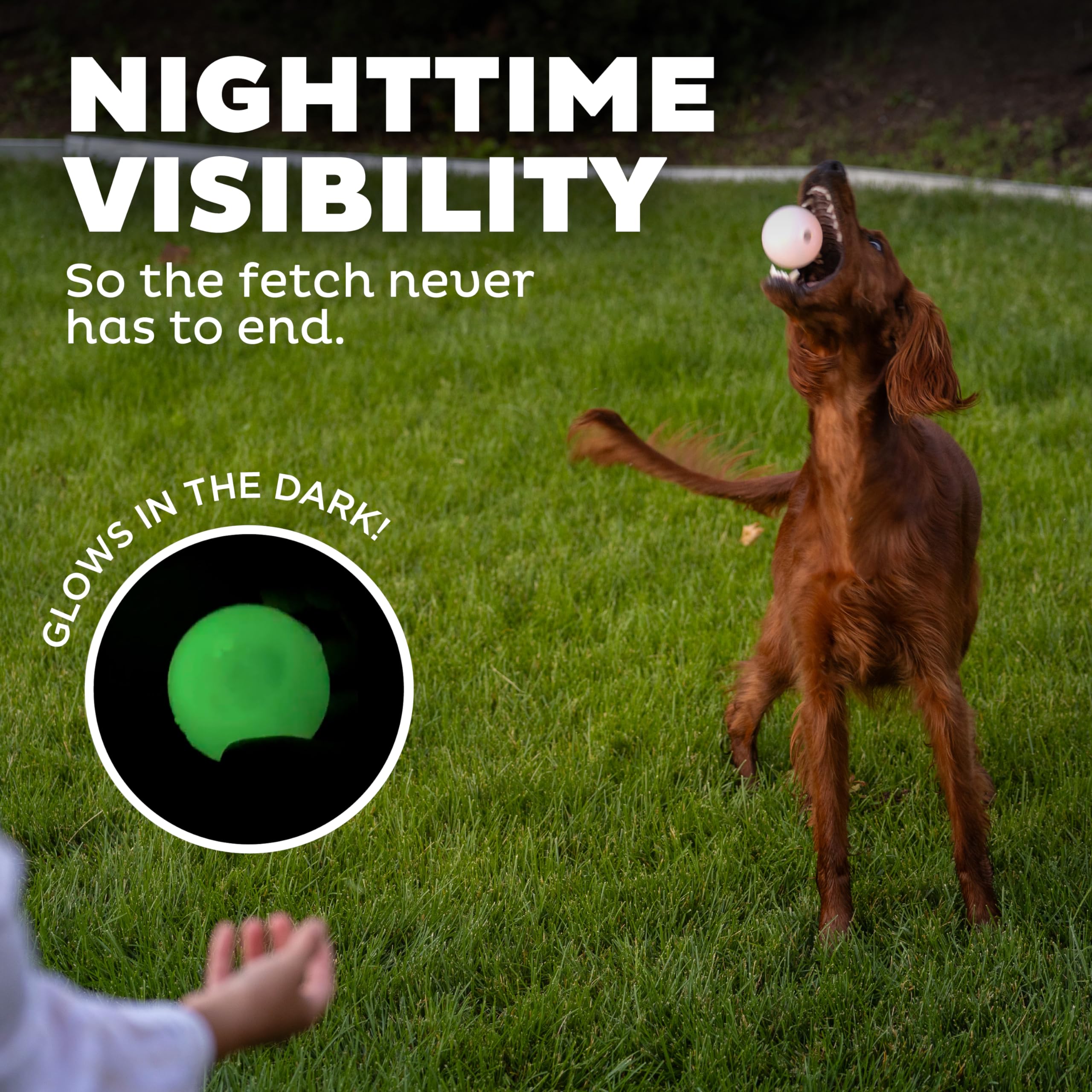 Foto 7 pulgar | Bola Estroboscópica Outward Hound Orbee-tuff De Juguete Para Perros Con Luz Led - Venta Internacional.