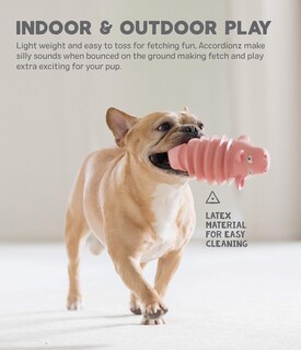 Foto 4 | Juguete Para Perros Outward Hound Accordionz, Látex, Goma, Cocodrilo - Venta Internacional.