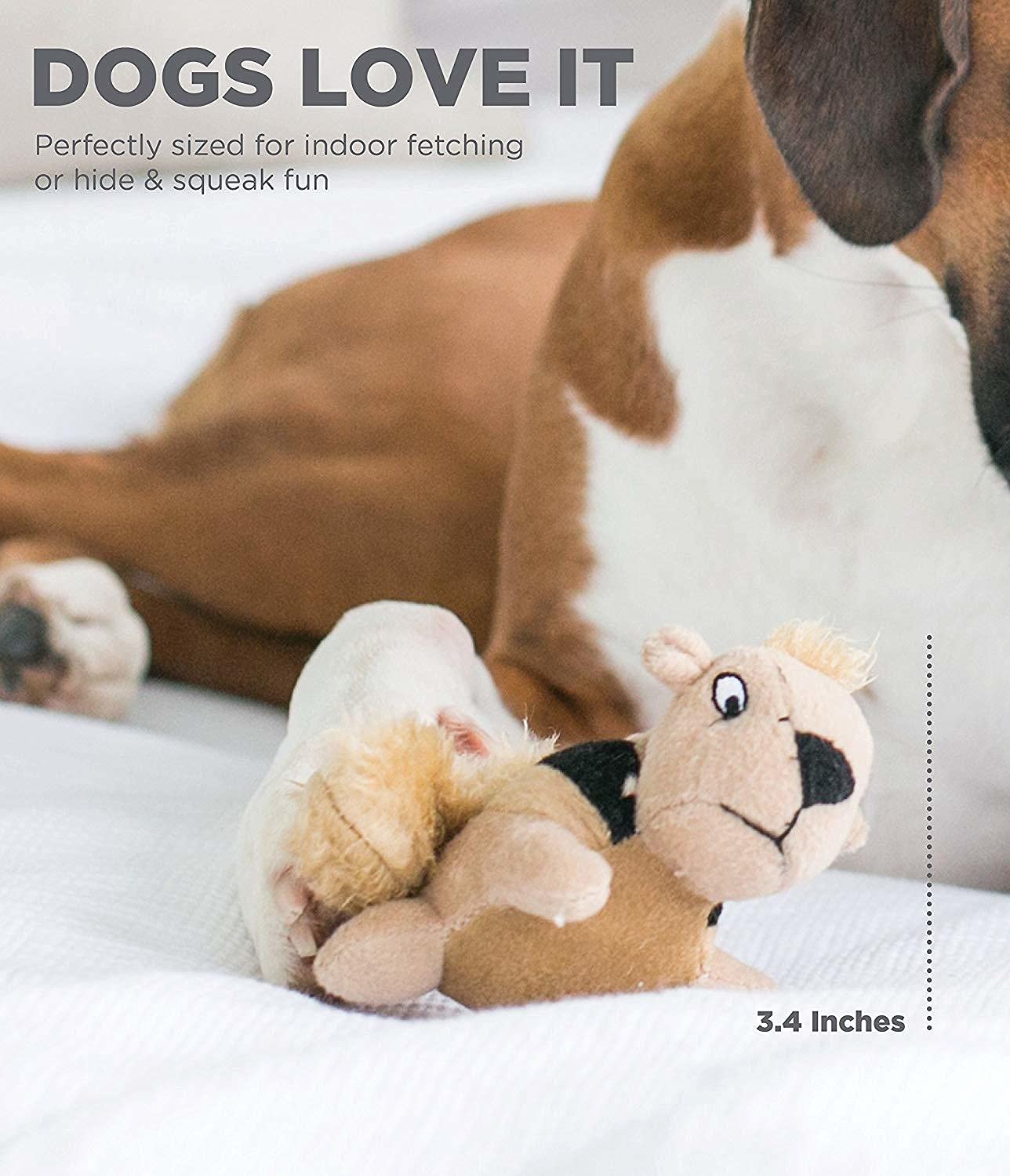 Foto 2 | Juguetes De Repuesto Para Perros Outward Hound Squeakin' Squirrels, Paquete De 3 - Venta Internacional.