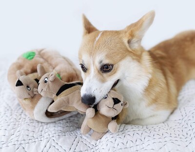 Foto 5 | Juguetes De Repuesto Para Perros Outward Hound Squeakin' Squirrels, Paquete De 3 - Venta Internacional.