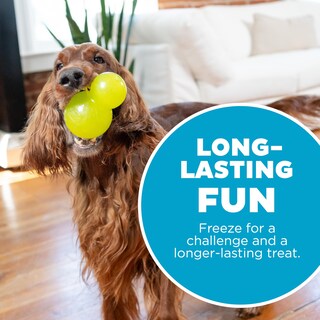 Foto 5 | Juguete Masticable Para Perros Outward Hound Double-tuff Treat Stuffer Green - Venta Internacional.