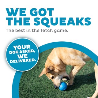 Foto 3 | Dog Fetch Toy Outward Hound Orbee-tuff Squeak Ball Azul - Venta Internacional.