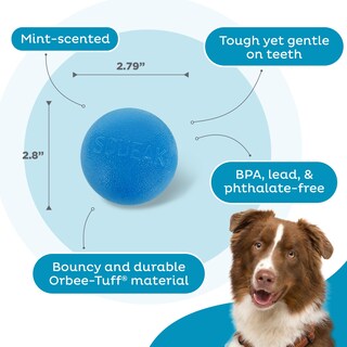 Foto 4 | Dog Fetch Toy Outward Hound Orbee-tuff Squeak Ball Azul - Venta Internacional.