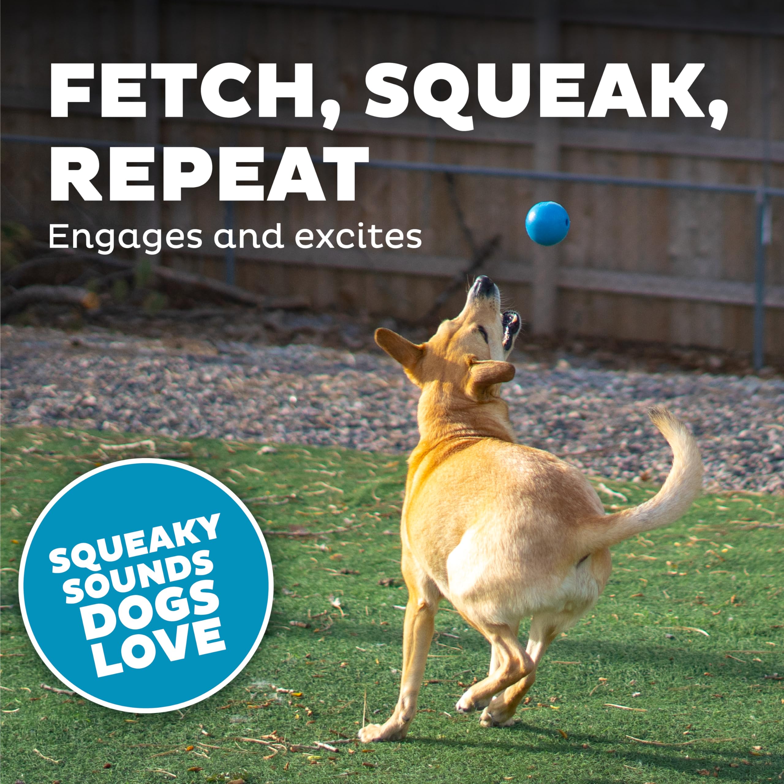Foto 6 pulgar | Dog Fetch Toy Outward Hound Orbee-tuff Squeak Ball Azul - Venta Internacional.