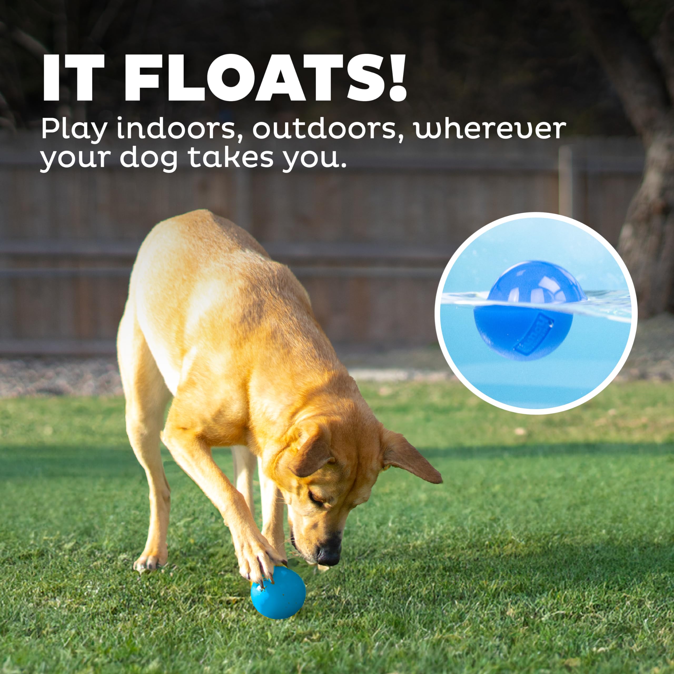 Foto 7 pulgar | Dog Fetch Toy Outward Hound Orbee-tuff Squeak Ball Azul - Venta Internacional.