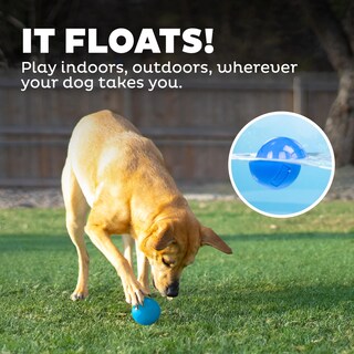 Foto 6 | Dog Fetch Toy Outward Hound Orbee-tuff Squeak Ball Azul - Venta Internacional.