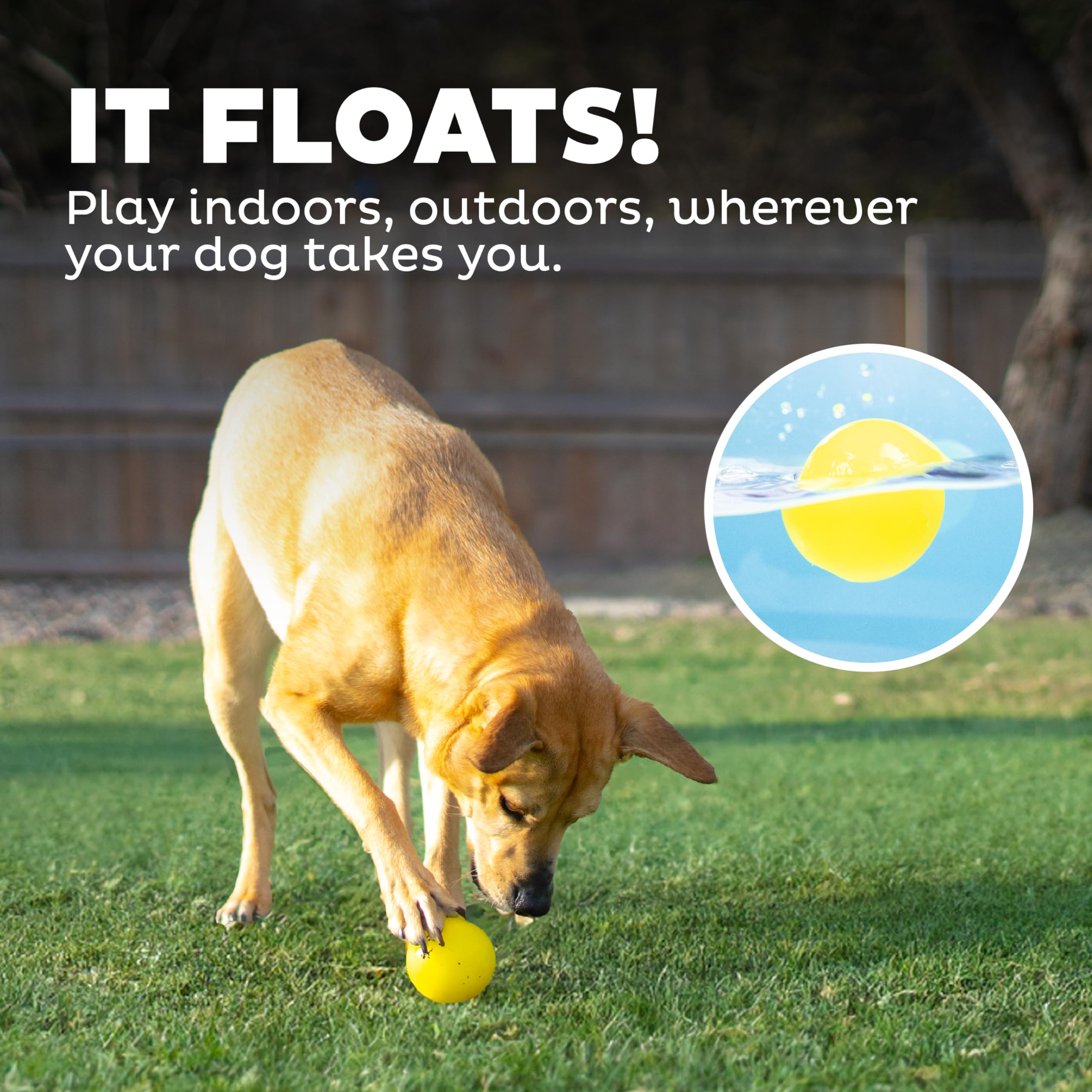 Foto 7 pulgar | Dog Fetch Toy Outward Hound Orbee-tuff Squeak Ball, Amarilla - Venta Internacional.