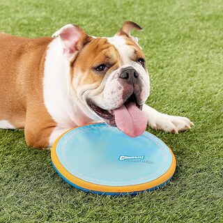 Foto 4 | ¡juguete Chuckit! Disco Volador Grande Paraflight De 24 Cm De Diámetro - Venta Internacional.