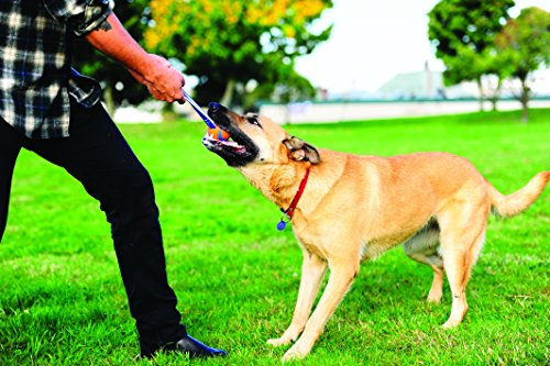 Foto 6 pulgar | ¡tíralo! Juguete Para Perros Ultra Tug, Grande - Venta Internacional.