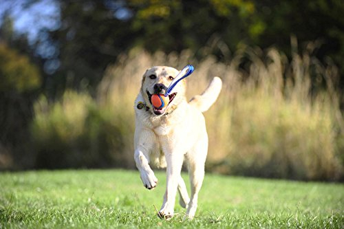 Foto 7 pulgar | ¡tíralo! Juguete Para Perros Ultra Tug, Grande - Venta Internacional.