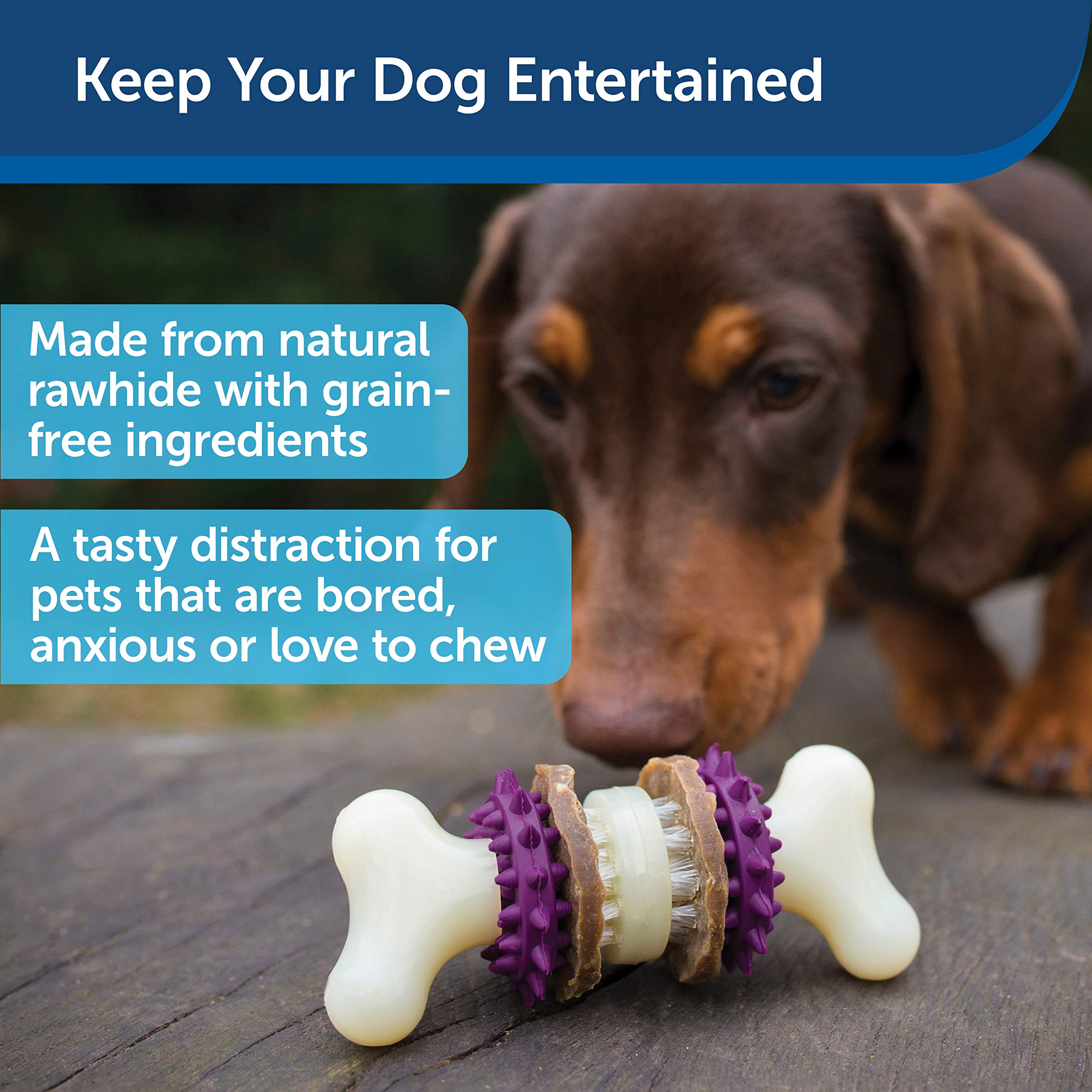 Foto 3 pulgar | Juguete Para Perros Petsafe Busy Buddy Bristle Bone - Venta Internacional.