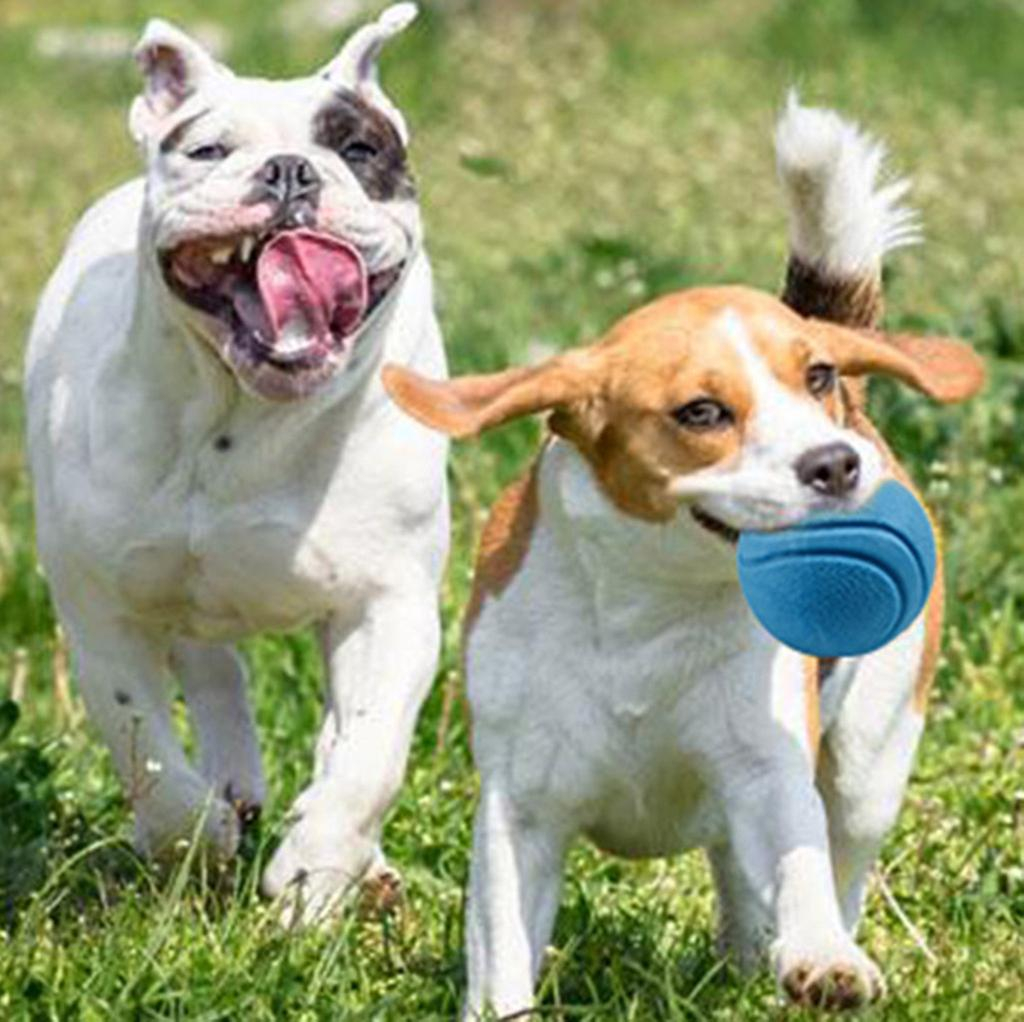 Foto 5 pulgar | Pelota De Goma Para Mascotas, Juguetes Para Entrenamiento, Masticar, Jugar, Buscar Y Morder - Venta Internacional.