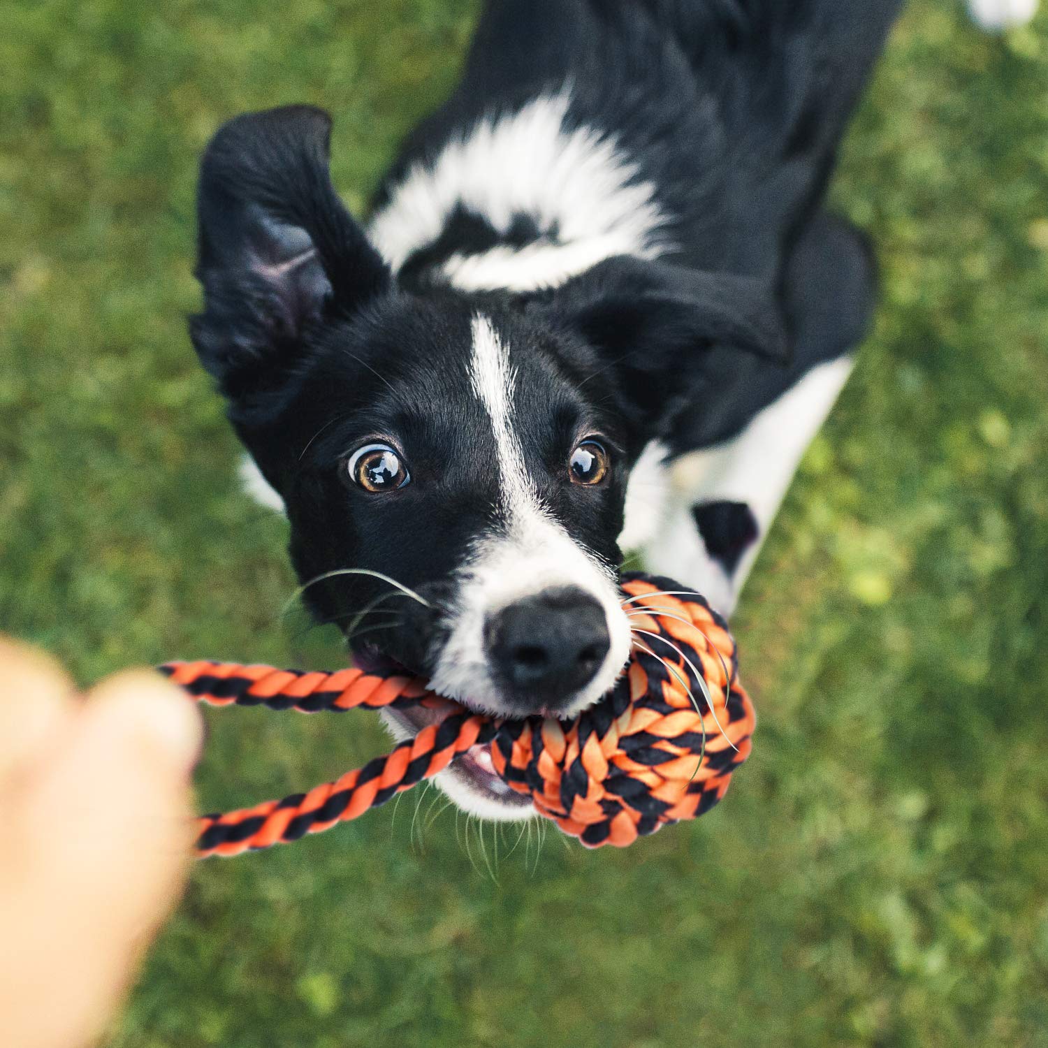 Foto 8 pulgar | Juego De Cuerdas Para Perros Tough Chew Para Masticadores Agresivos, Tamaño Grande - Venta Internacional.