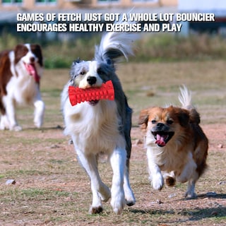Foto 1 | Juguete Chirriante Para Perros Huoguo, Casi Indestructible, Resistente Y Duradero - Venta Internacional.