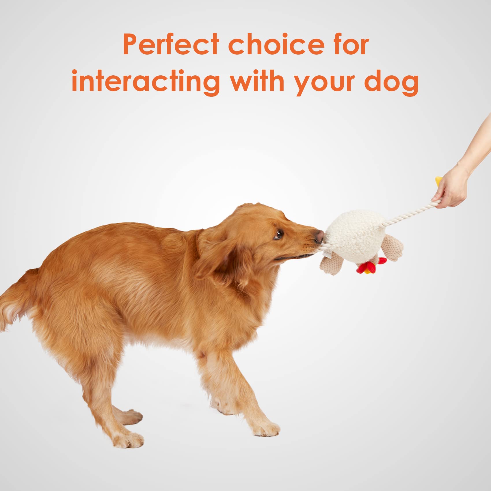 Foto 6 | Juguetes Para Perros Eheyciga Para Perros Pequeños Squeaky Turkey & Jiraffe - Venta Internacional.
