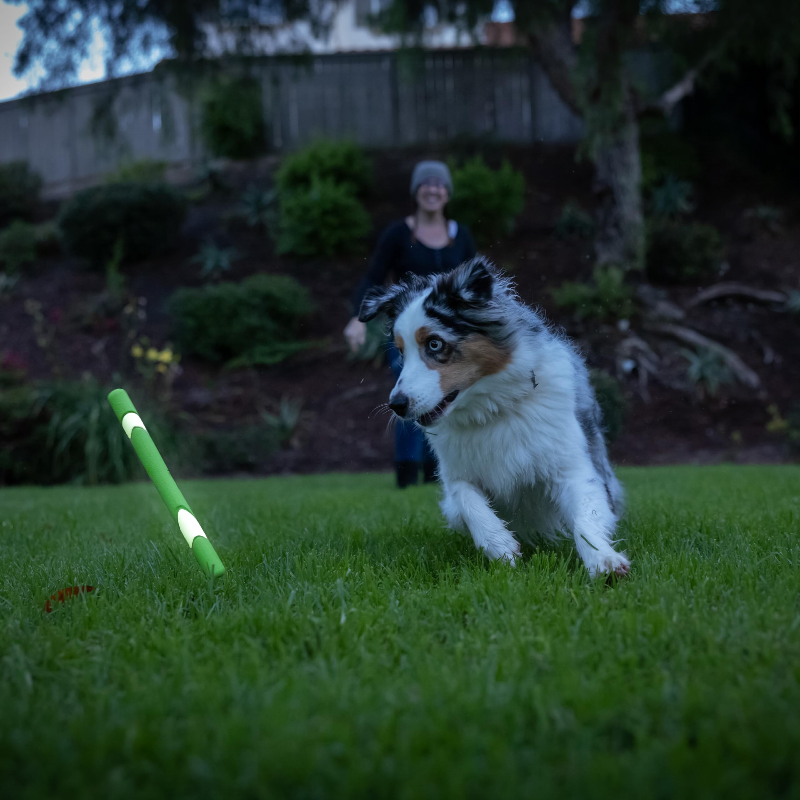 Foto 4 pulgar | Juguete Para Perros Chuckit! Max Glow Ultra Fetch Stick, 30 Cm, Para Todas Las Razas - Venta Internacional.