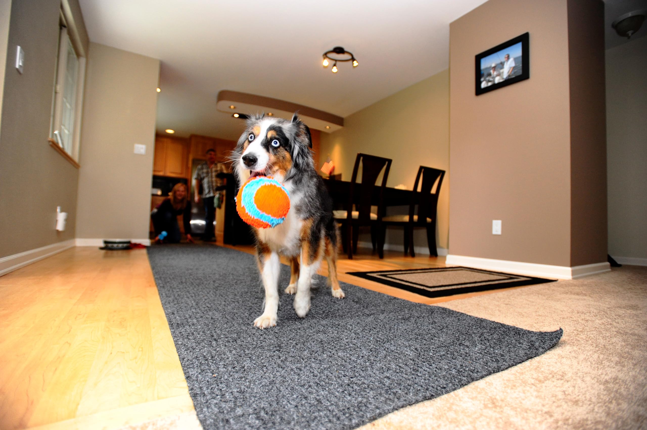 Foto 4 pulgar | Juguete Para Perros Chuckit! Bola Fetch Para Interiores, 12 Cm, Naranja Y Azul - Venta Internacional.