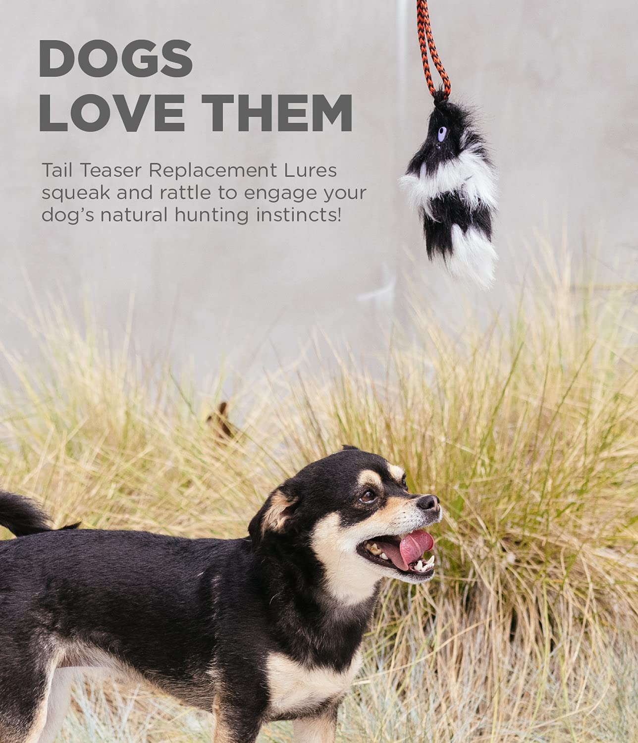 Foto 4 pulgar | Señuelo De Repuesto Para Dog Teaser Wand Outward Hound Tail Teaser - Venta Internacional.