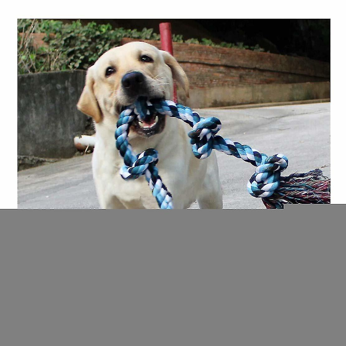 Foto 2 pulgar | Cuerda Para Perros Huoguo Xxl, 91 Cm, Para Perros Grandes Y Fuertes, 5 Nudos - Venta Internacional.