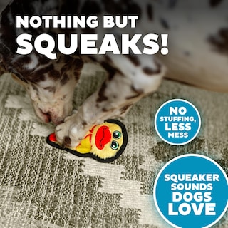 Foto 4 | Juguete Para Perros Outward Hound Durablez Tough Plush Squeaky Duck Xs - Venta Internacional.