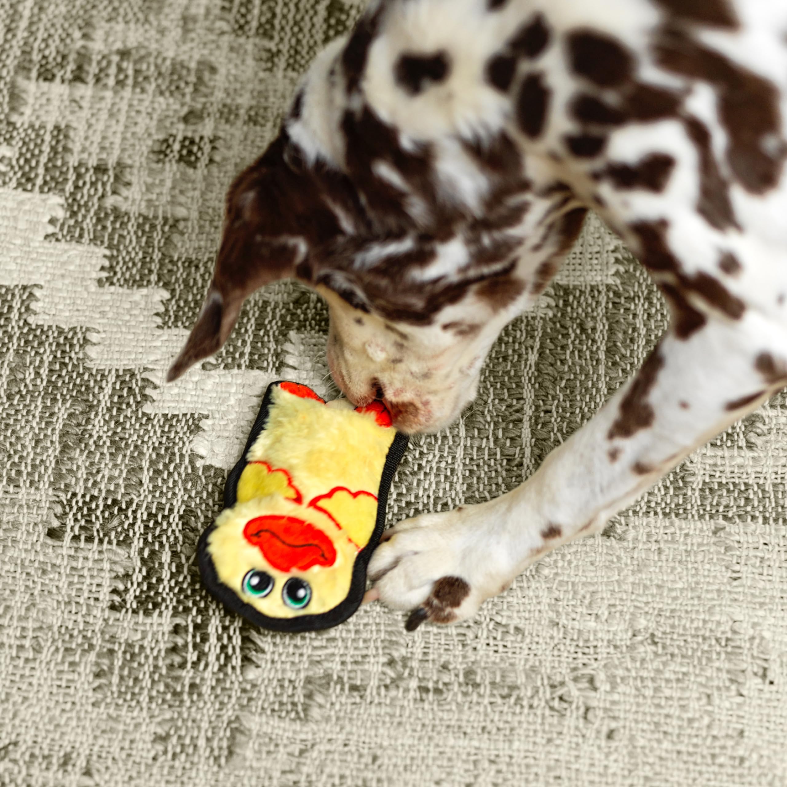 Foto 6 pulgar | Juguete Para Perros Outward Hound Durablez Tough Plush Squeaky Duck Xs - Venta Internacional.