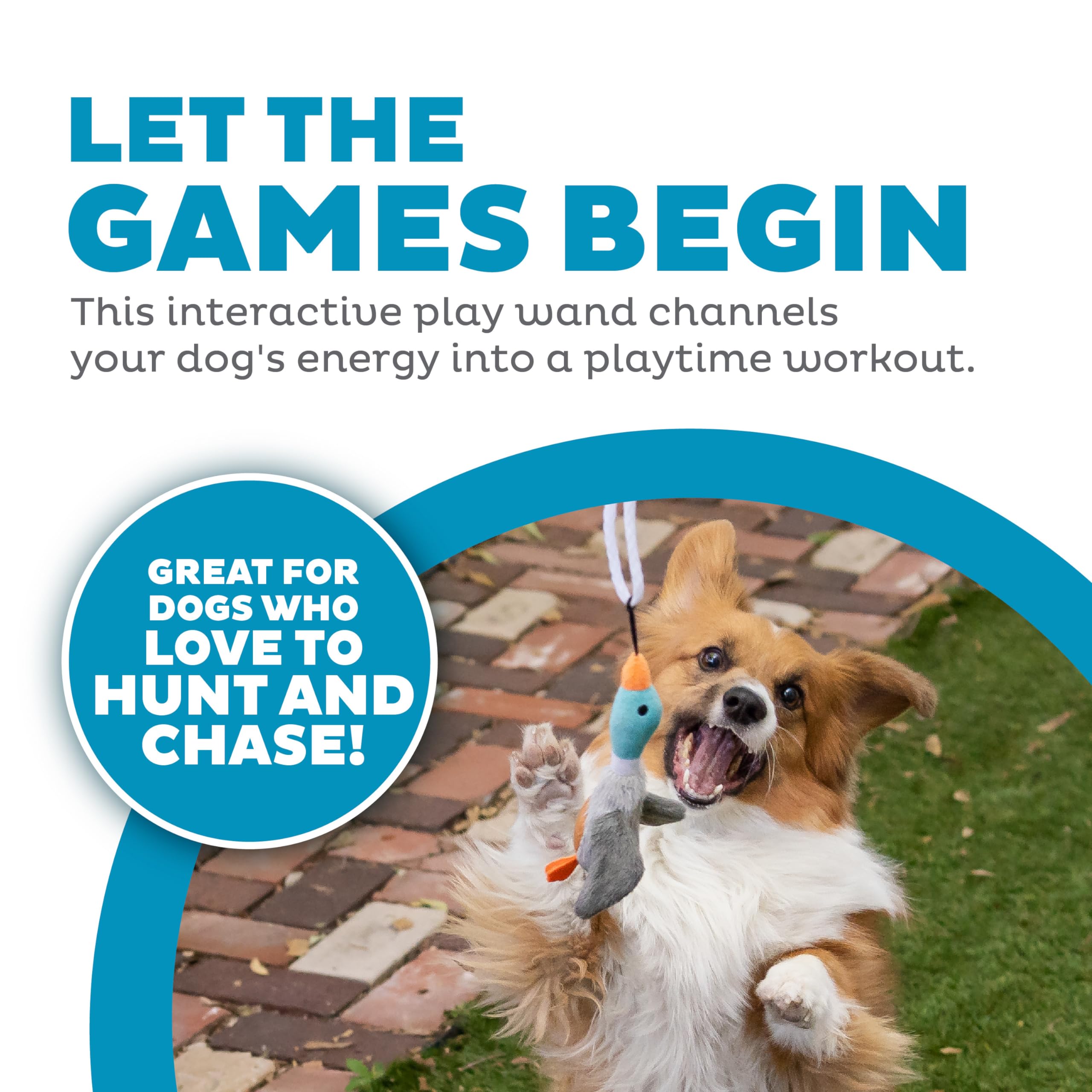 Foto 3 pulgar | Dog Wand Toy Outward Hound Tail Teaser Interactivo Con Chirriador - Venta Internacional.