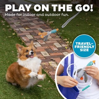 Foto 5 | Dog Wand Toy Outward Hound Tail Teaser Interactivo Con Chirriador - Venta Internacional.