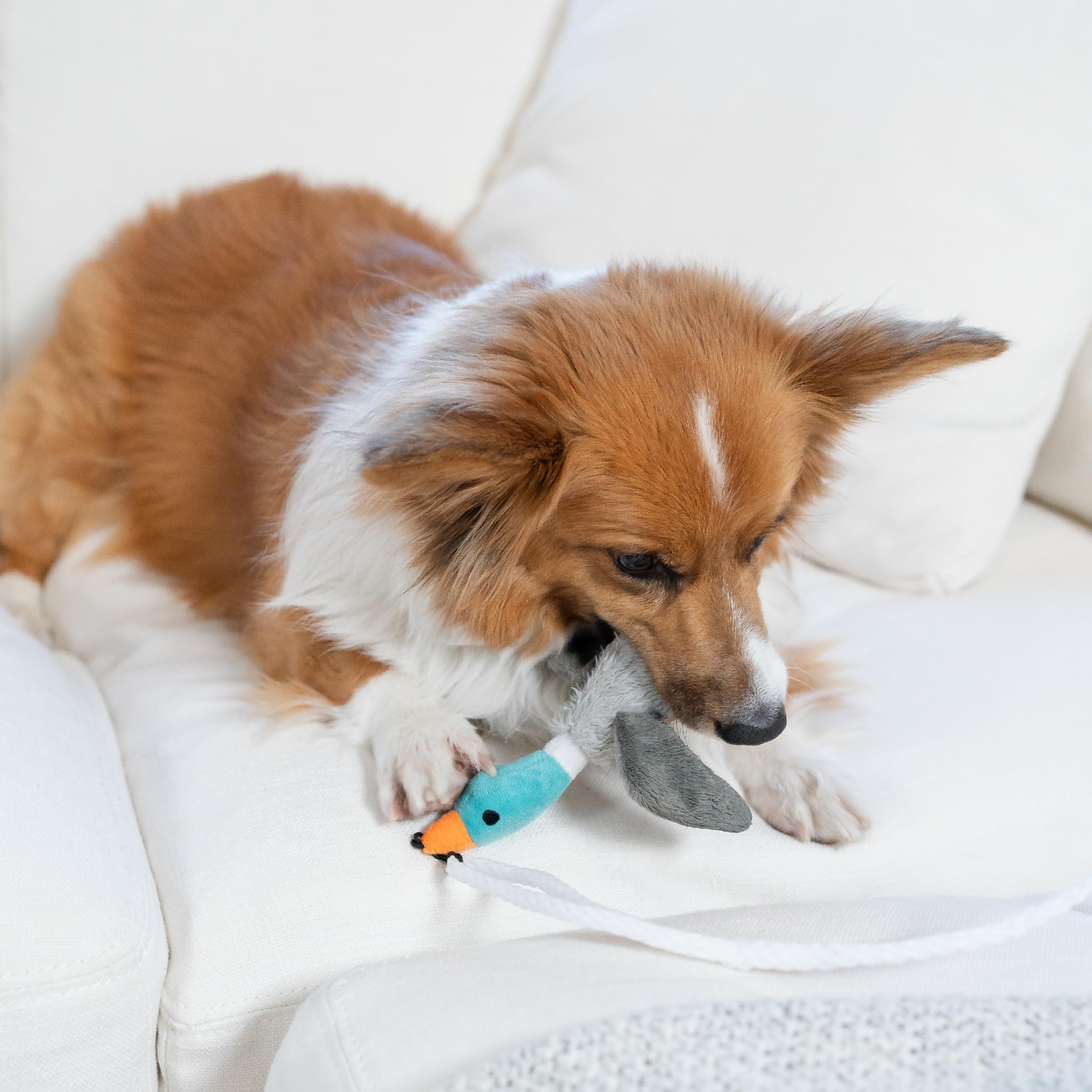 Foto 7 pulgar | Dog Wand Toy Outward Hound Tail Teaser Interactivo Con Chirriador - Venta Internacional.