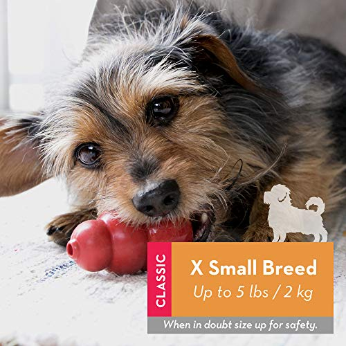 Foto 2 | Juguete Para Perros Kong Classic De Goma Natural Duradera Para Niños Extrapequeños - Venta Internacional.