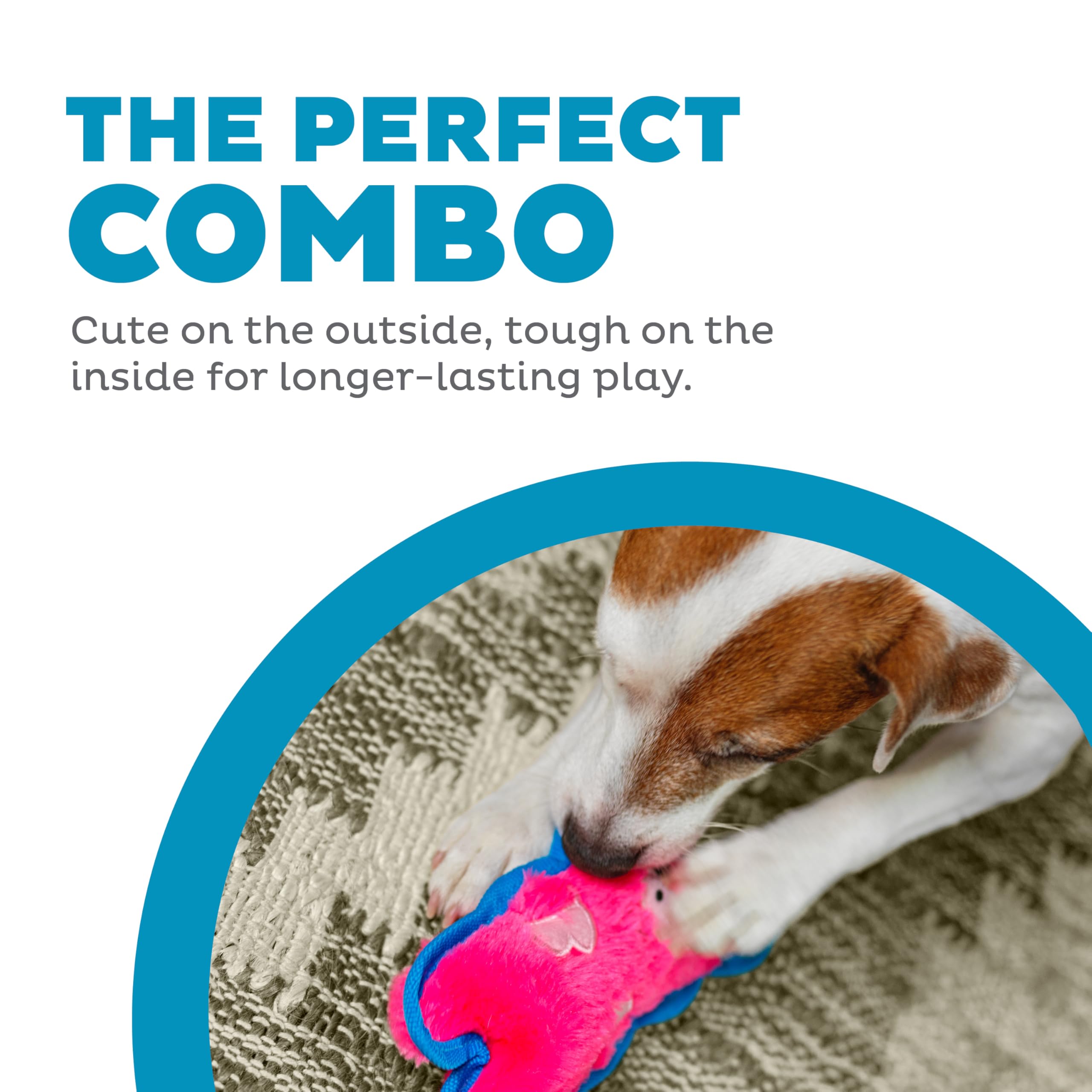Foto 4 pulgar | Juguete Para Perros Outward Hound Durablez Tough Plush Squeaky Pig Xs - Venta Internacional.