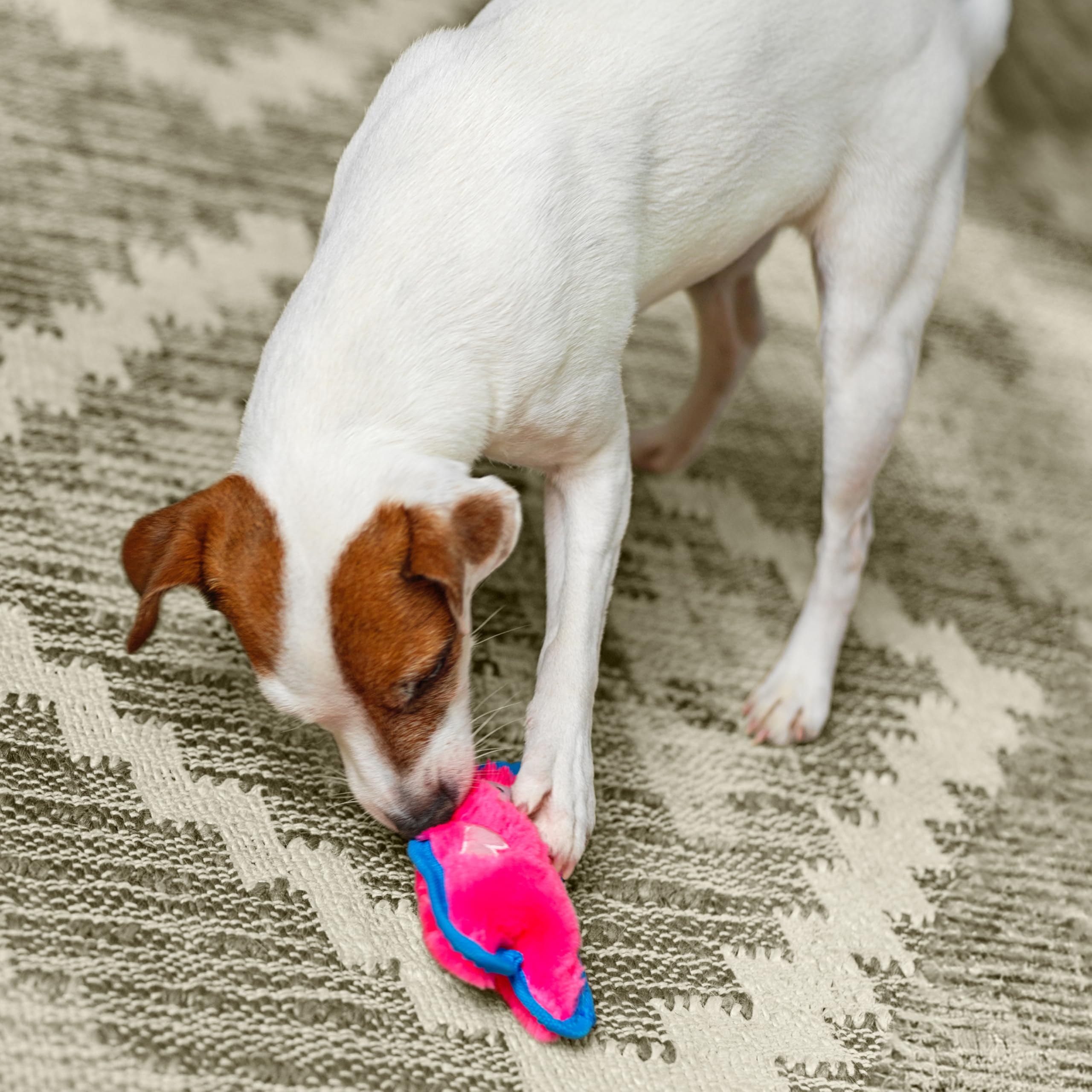 Foto 7 pulgar | Juguete Para Perros Outward Hound Durablez Tough Plush Squeaky Pig Xs - Venta Internacional.