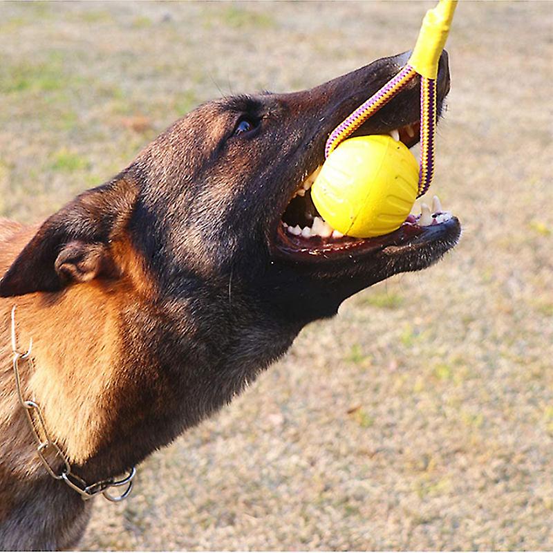 Foto 3 pulgar | Pelota De Cuerda De Juguete Interactiva Para Perros Para Jugar Y Masticar - Venta Internacional.