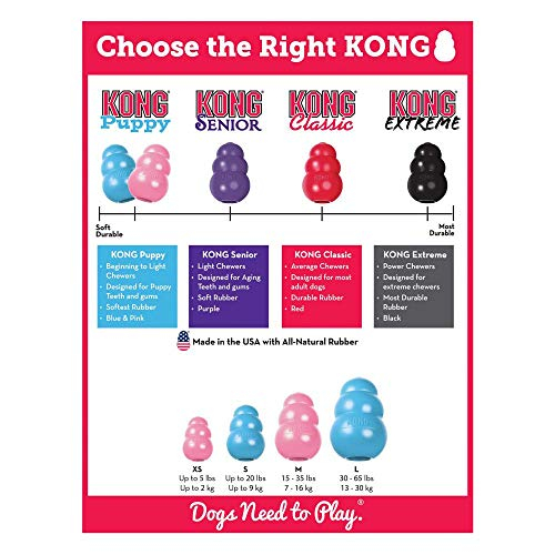 Foto 4 pulgar | Juguete Para Cachorros Medianos Kong Puppy, Goma Natural Para Dentición - Venta Internacional.