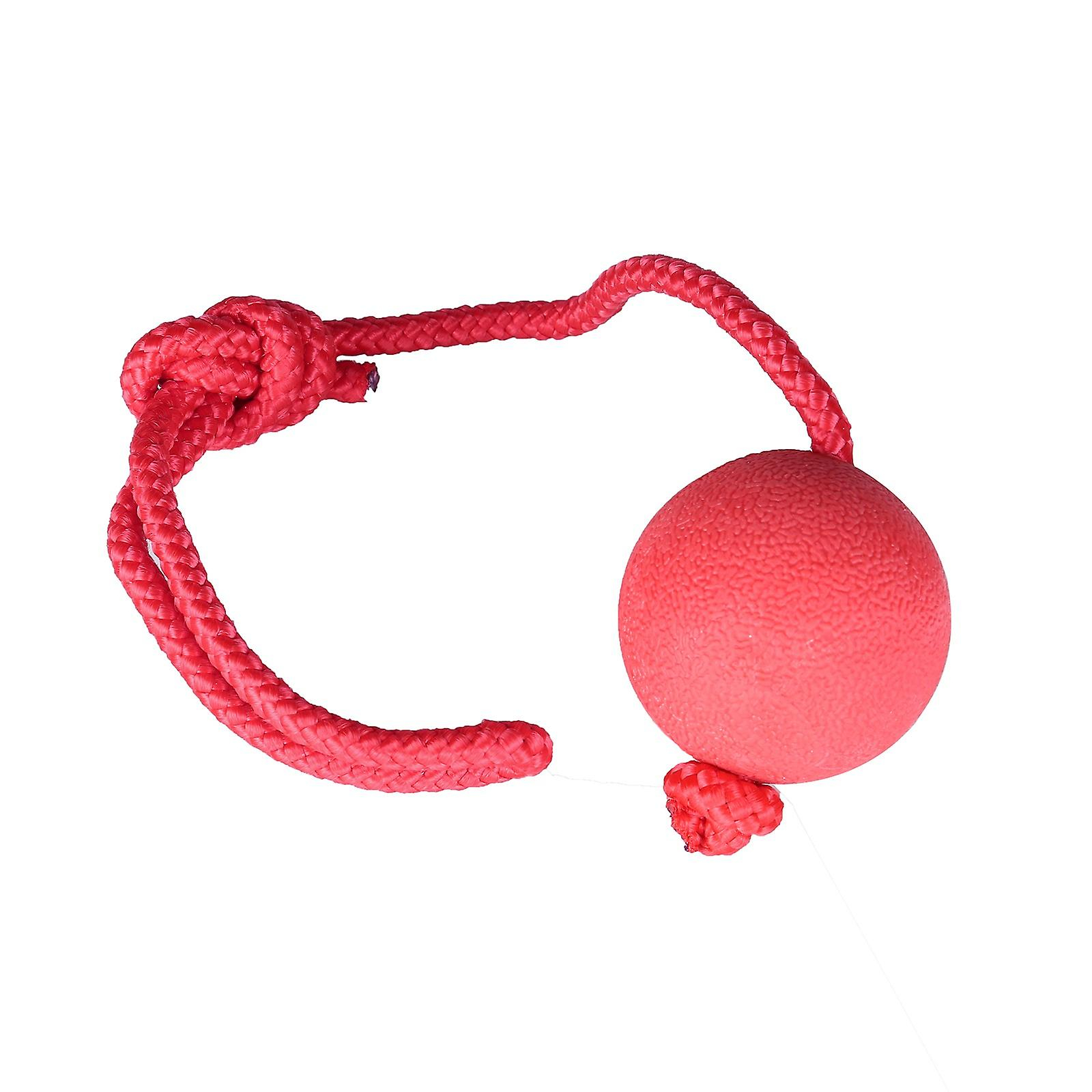 Foto 2 pulgar | Rompecabezas Para Perros Chew Toys Huoguo, Bolas Chirriantes, Duraderas, De Algodón - Venta Internacional.