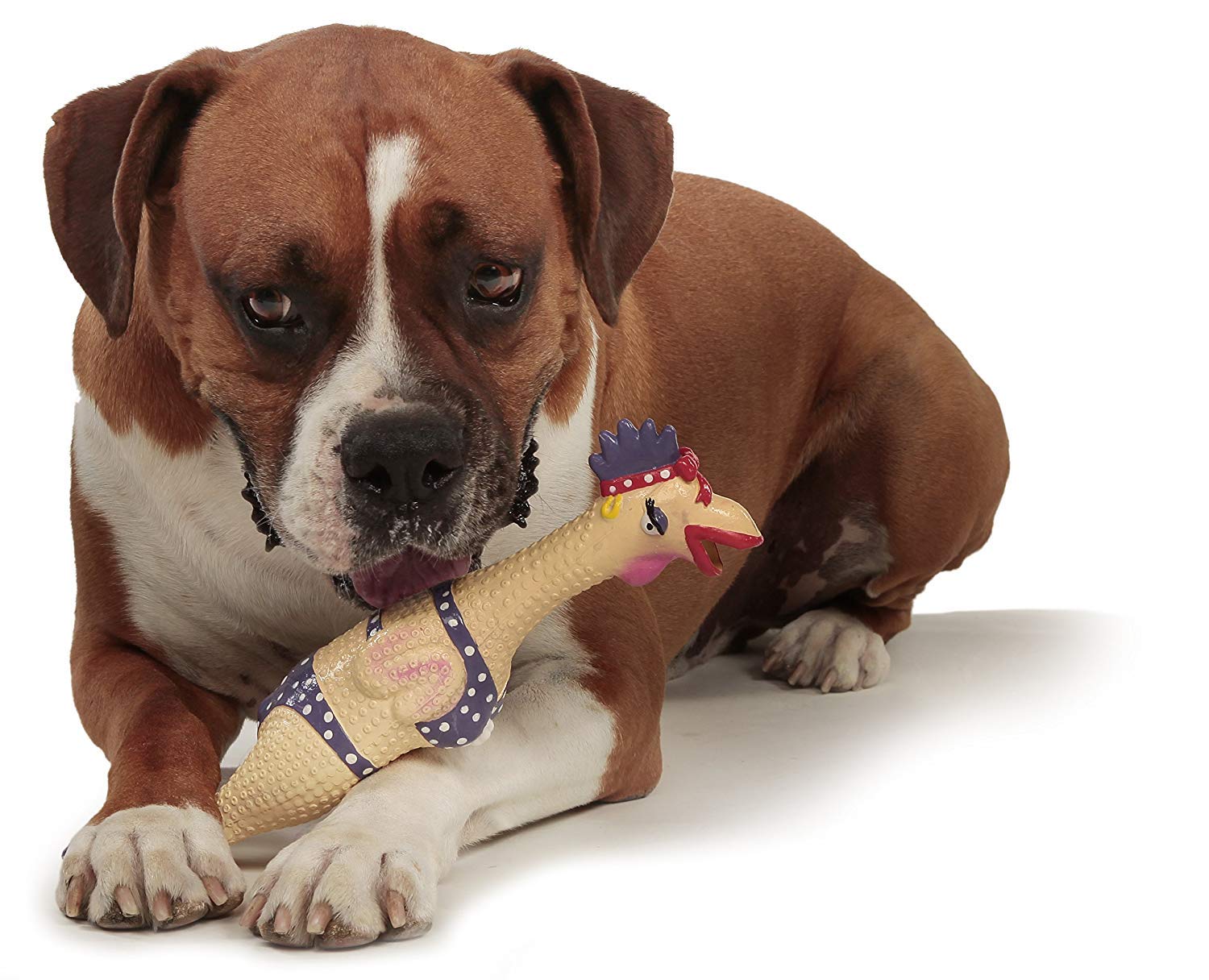 Foto 6 pulgar | Juguete Interactivo Para Perros Outward Hound Squawkers Grandma Hippie - Venta Internacional.
