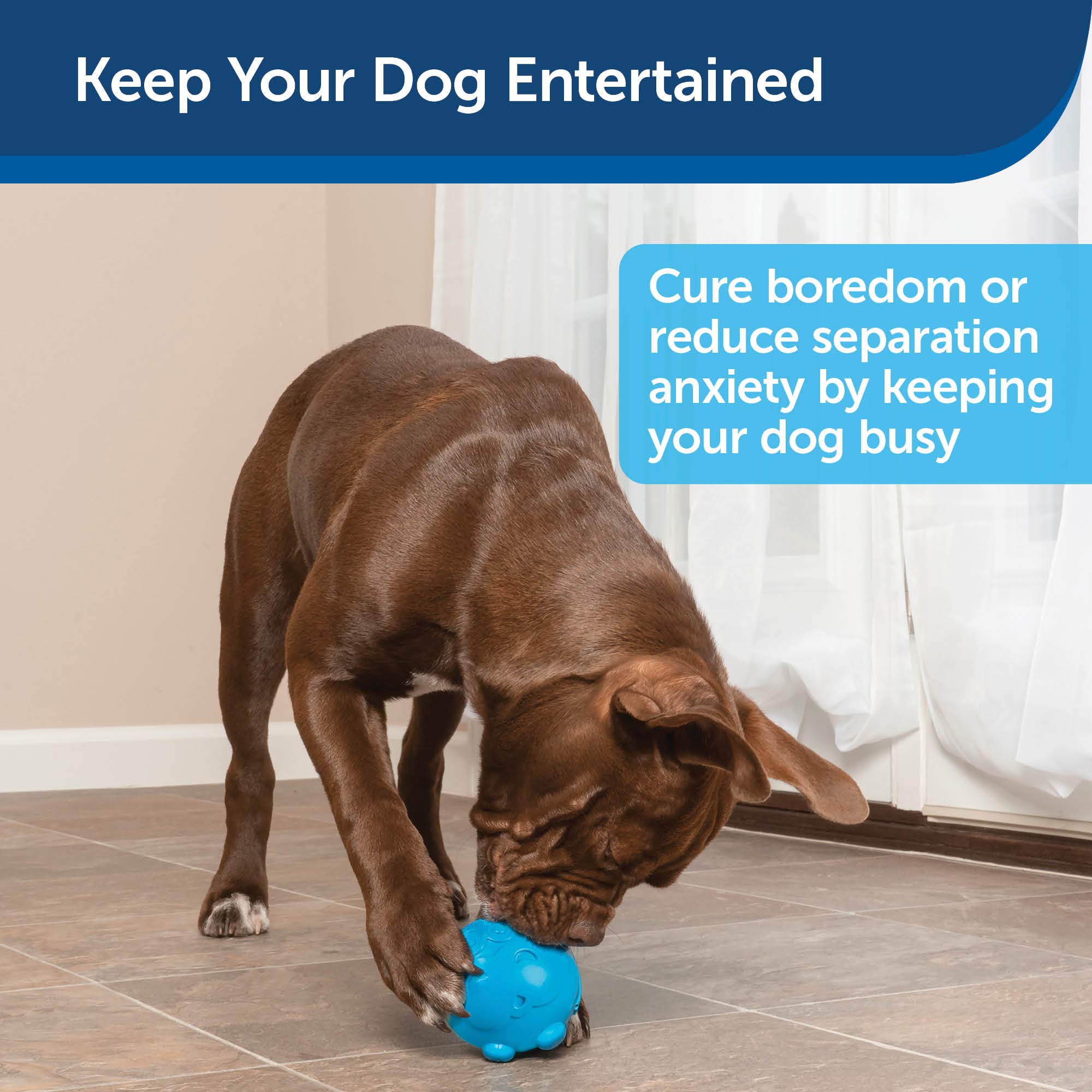 Foto 4 | Dispensador De Golosinas Petsafe Busy Buddy Hippster, Juguete Masticable Para Perros - Venta Internacional.