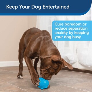 Foto 4 | Dispensador De Golosinas Petsafe Busy Buddy Hippster, Juguete Masticable Para Perros - Venta Internacional.