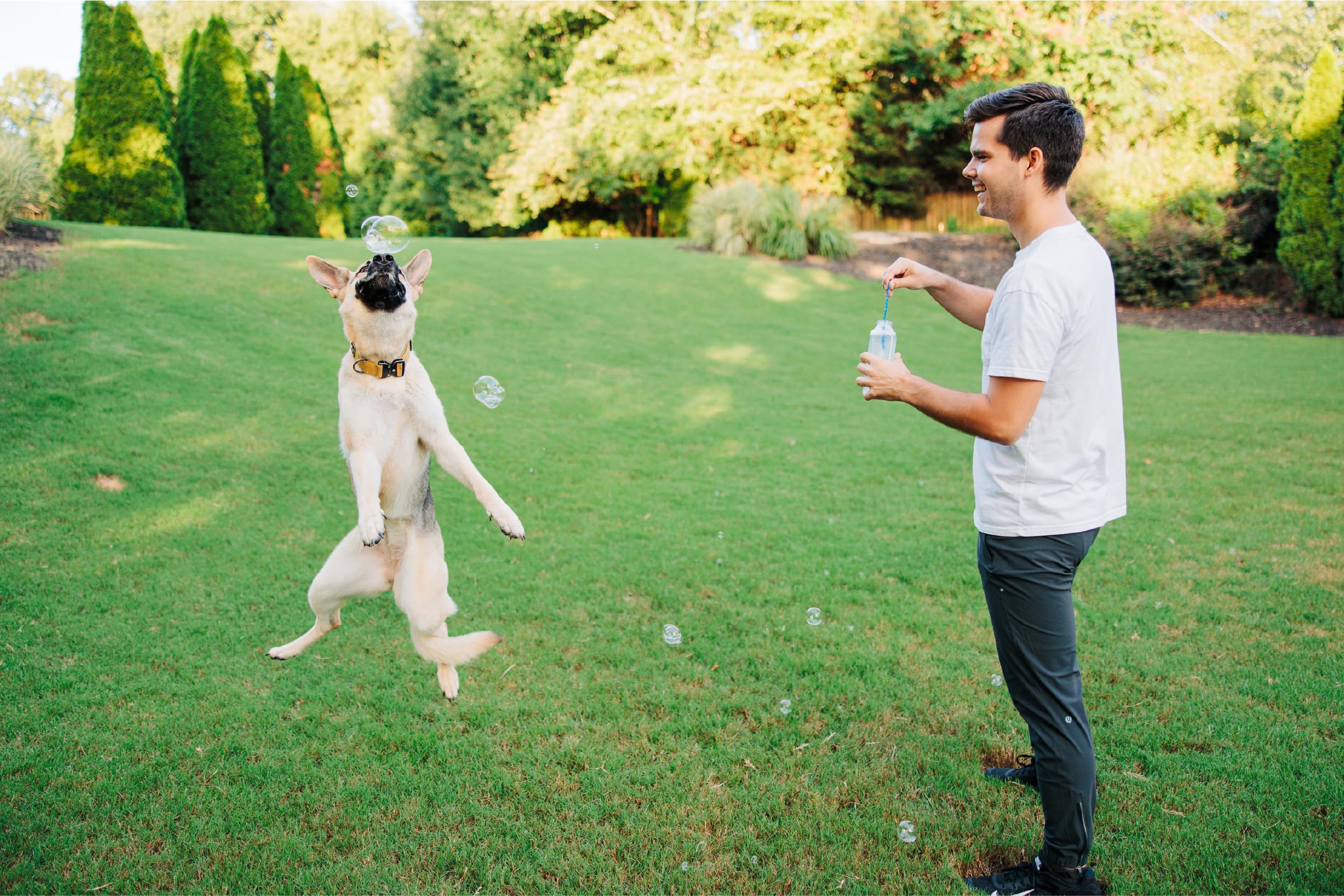 Foto 6 | Juguete Para Perros Barkin' Good Bubbles Con Aroma Natural A Tocino A Base De Plantas - Venta Internacional.