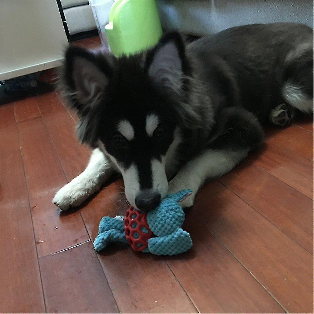 Foto 5 pulgar | Pelota De Goma Huoguo Puppy Squeaky De Juguete Para Perros Pequeños - Venta Internacional.
