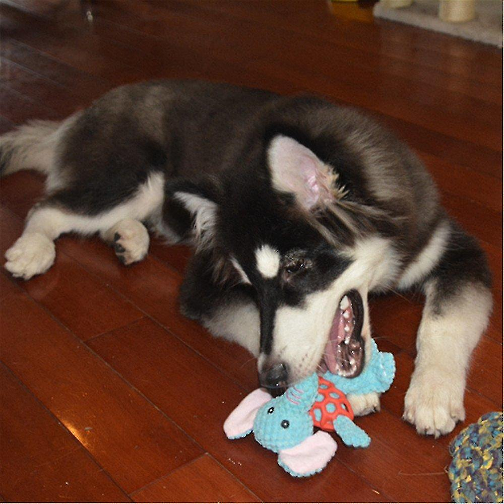 Foto 6 pulgar | Pelota De Goma Huoguo Puppy Squeaky De Juguete Para Perros Pequeños - Venta Internacional.