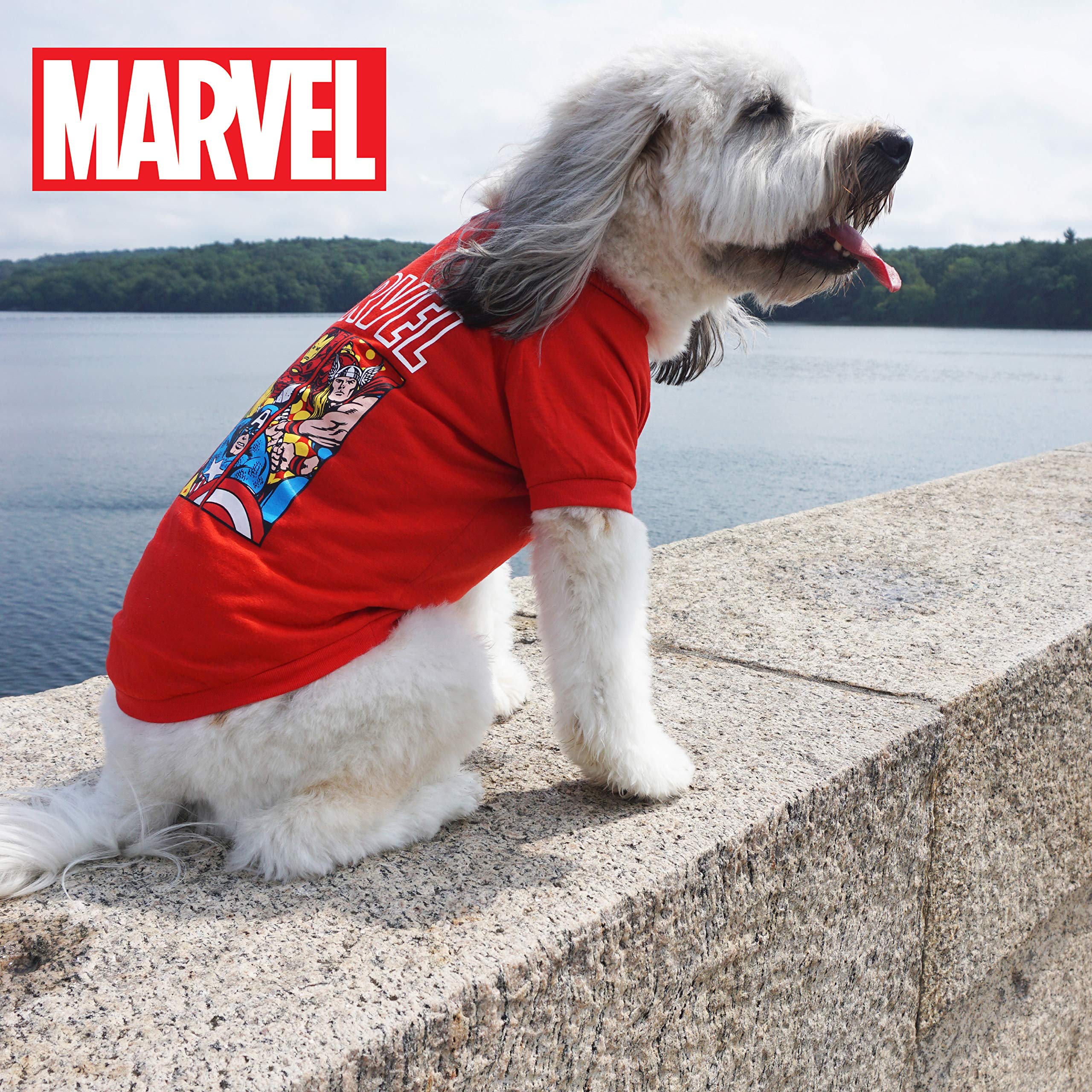 Foto 4 pulgar | Toy Marvel Comics Iron Man Rope Knot Buddy Para Perros - Venta Internacional.