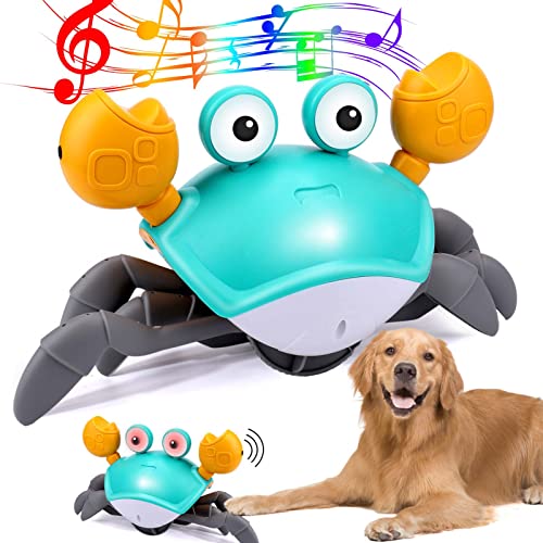 Foto 2 pulgar | Juguete Para Perros Mity Rain Crab, Cangrejo Que Escapa Con Obstáculos - Venta Internacional.